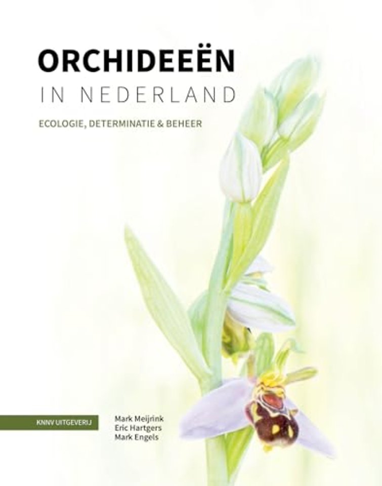 Orchideeën in Nederland