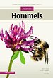 Veldgids Hommels