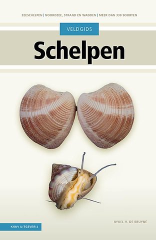 Veldgids Schelpen