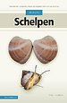 Veldgids Schelpen