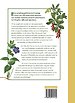 Botanicum medicinale