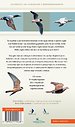 Veldgids Vogeltrek in beeld