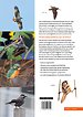 Handboek Vogels van Nederland