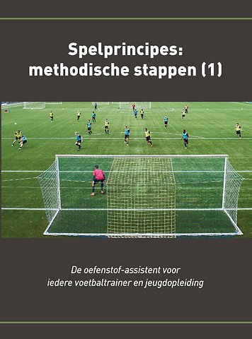 Spelprincipes deel 1 Methodische stappen