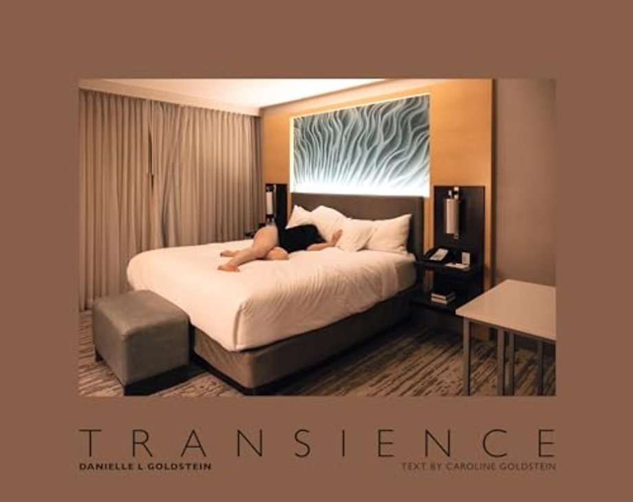 Danielle L. Goldstein: Transience