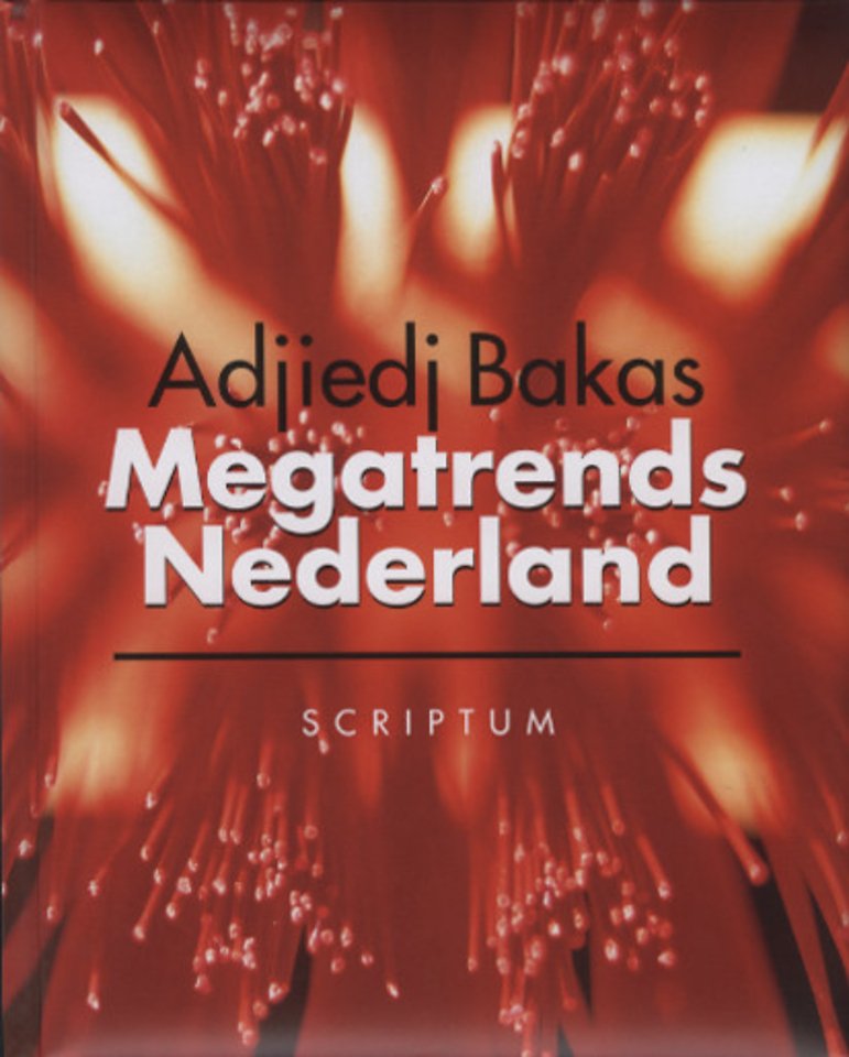 Megatrends Nederland Megatrends Nederland