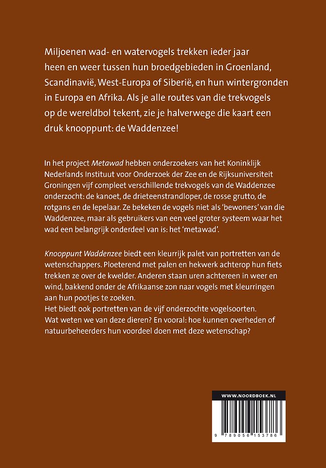 Knooppunt Waddenzee