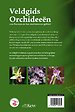 Veldgids Orchideeën