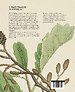 De Naturalis Historia