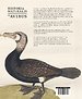 Historia naturalis: de avibus