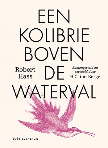 Een kolibrie boven de waterval