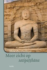Meer zicht op satipatthana