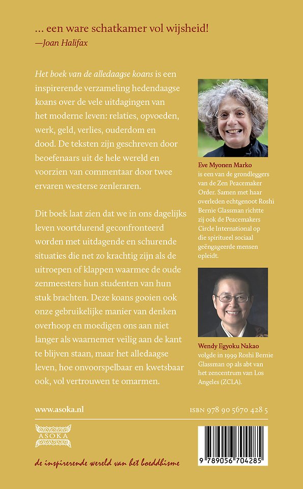Het boek van de alledaagse koans