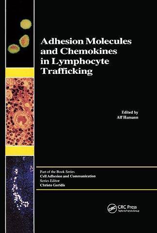 Adhesion Molecules and Chemokines in Lymphocyte Trafficking