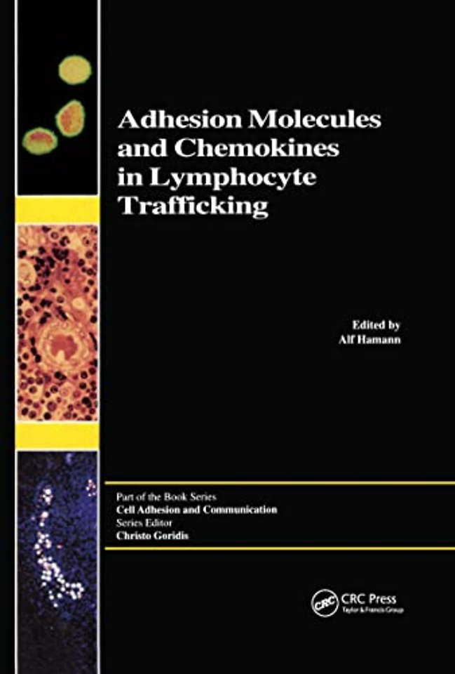 Adhesion Molecules and Chemokines in Lymphocyte Trafficking