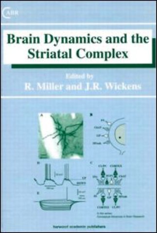 Brain Dynamics and the Striatal Complex