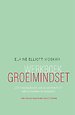 Werkboek groeimindset