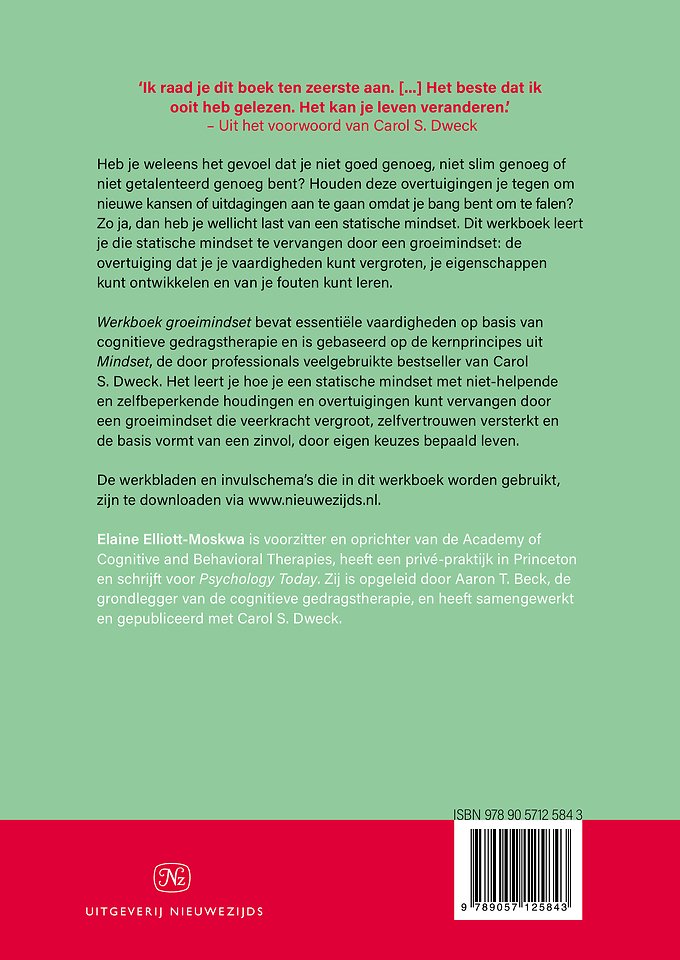 Werkboek groeimindset