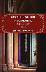 Geschiedenis der Hervorming in de 16e eeuw