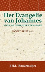 Het Evangelie van Johannes voor de Gemeente verklaard 2