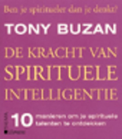 De kracht van spirituele intelligentie