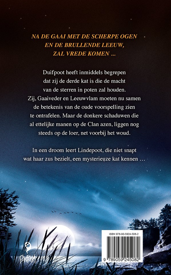 Echo in de verte Warrior Cats - Serie 4