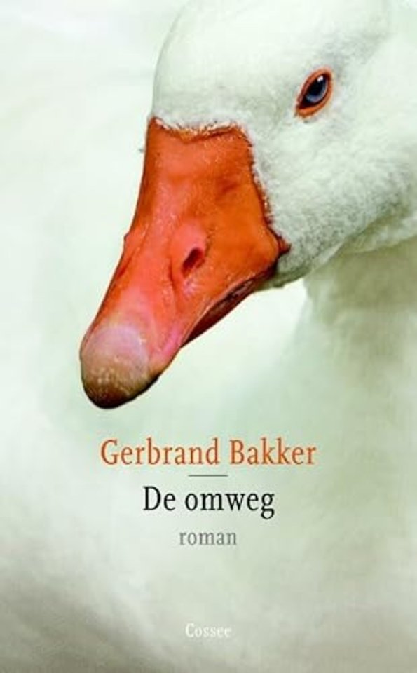 De omweg