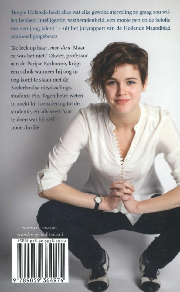 De hemel boven Parijs