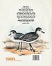 Doe-boek vogels