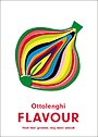 Flavour Flavour