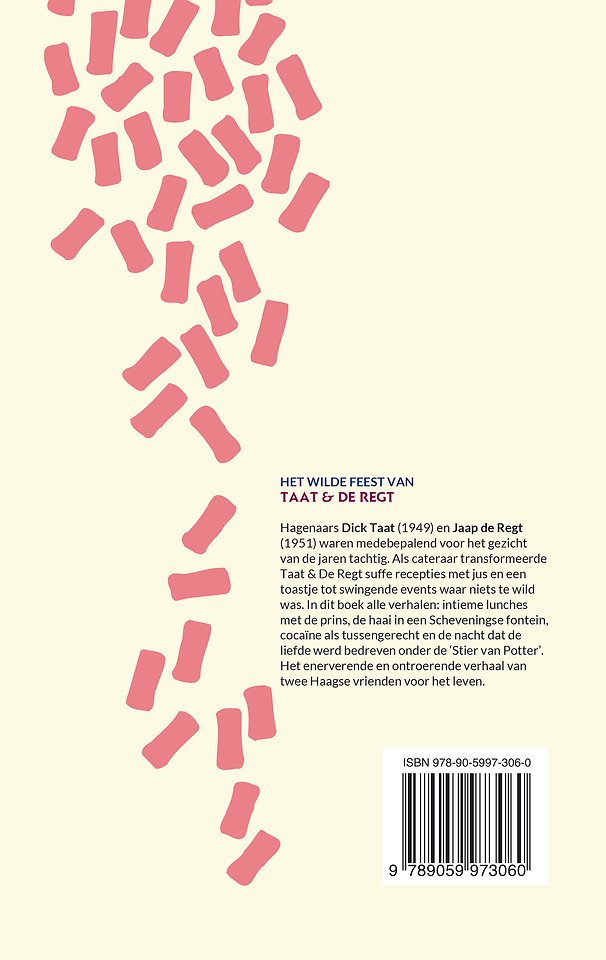 De wonderjaren van Taat & De Regt