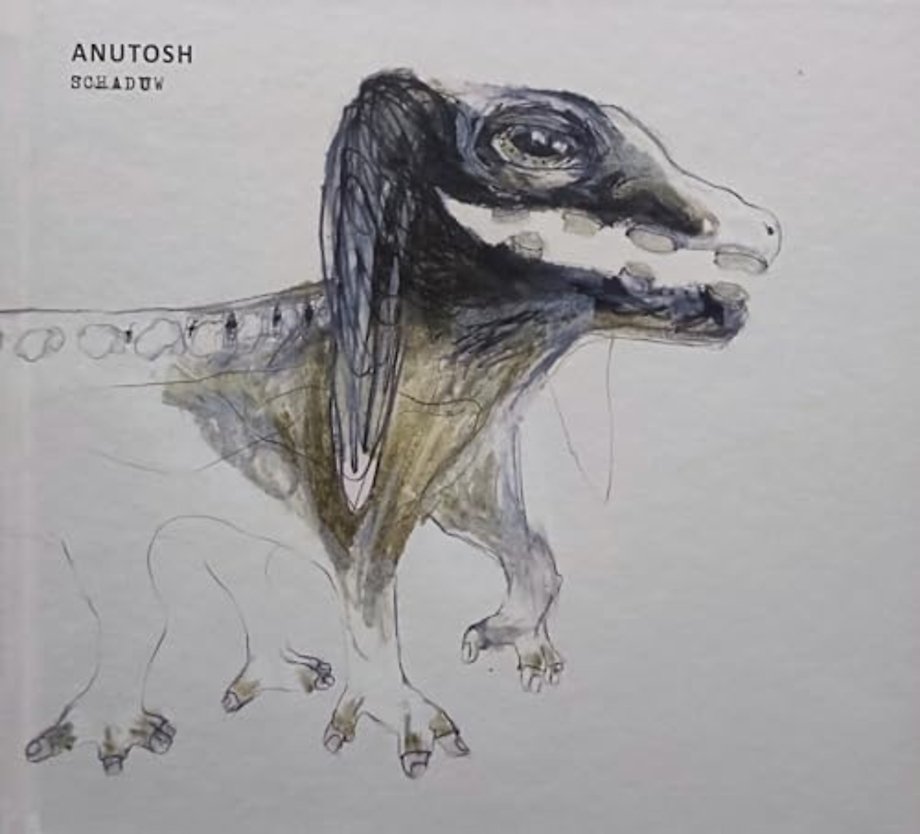 Anutosh - Schaduw