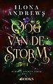 Oog van de storm