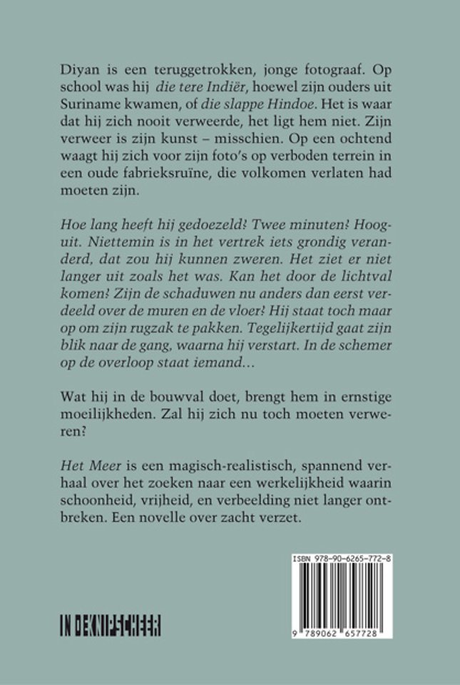 Het Meer