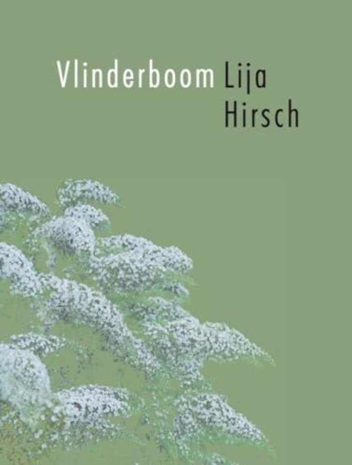 Vlinderboom