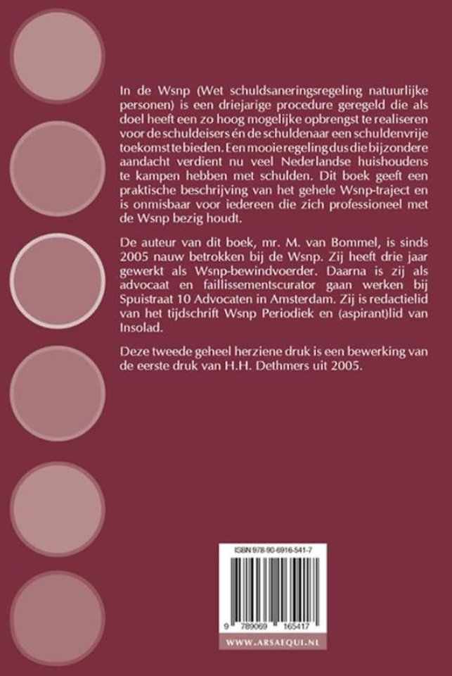 Van schuldsanering tot schone lei