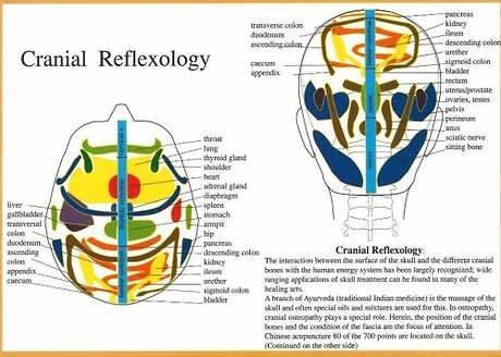 Cranial Reflexology -- A4