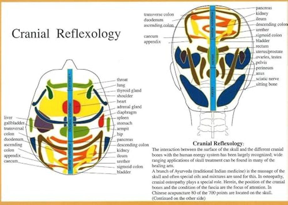 Cranial Reflexology -- A4
