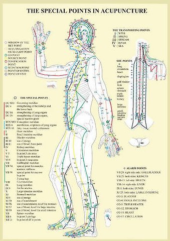Special Points in Acupunture -- A4