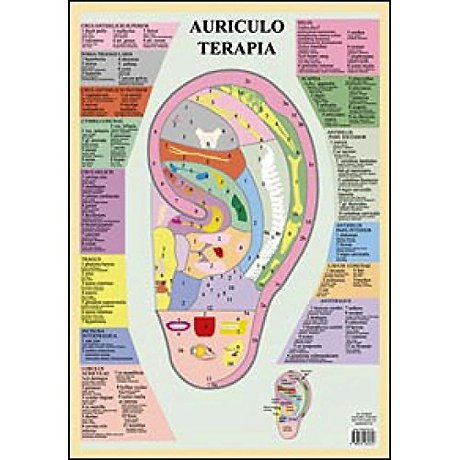 Auriculo Terapia -- A2
