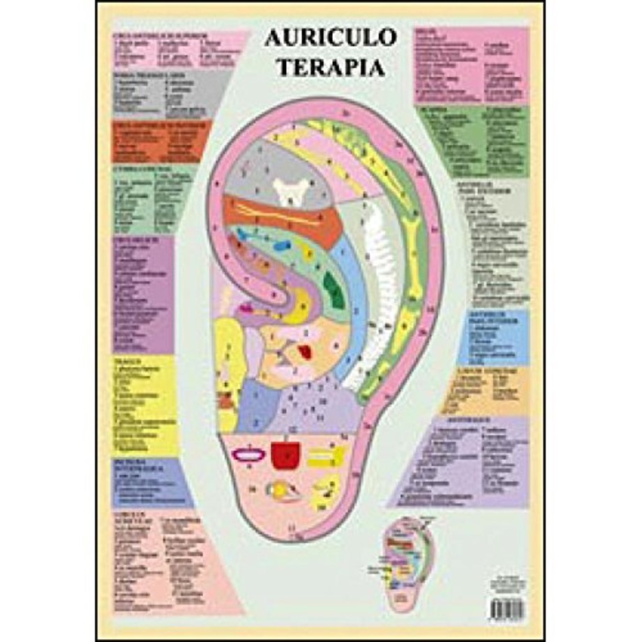 Auriculo Terapia -- A2