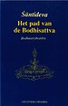 Het pad van de Bodhisattva