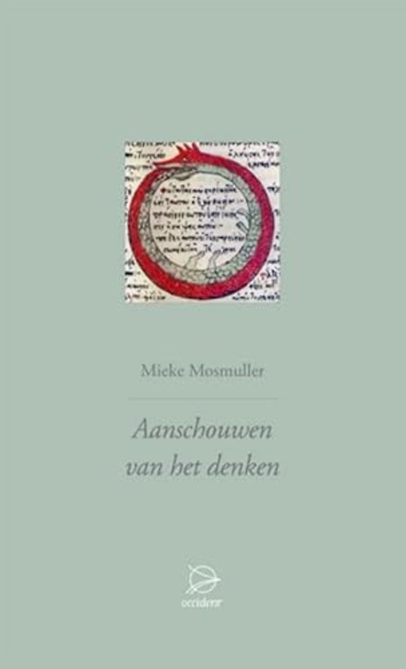 Aanschouwen van het denken