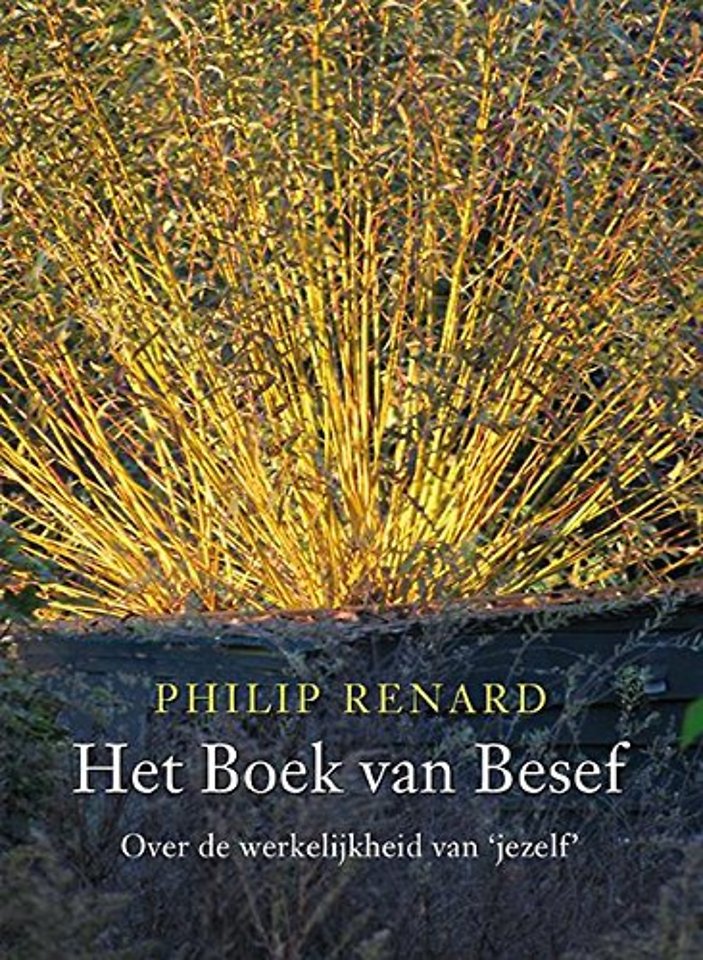 Het boek van besef