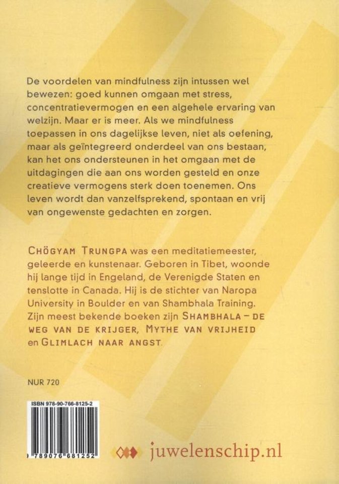 Mindfulness in actie