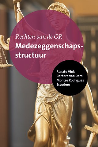 Rechten van de OR, 4 : Medezeggenschapsstructuur