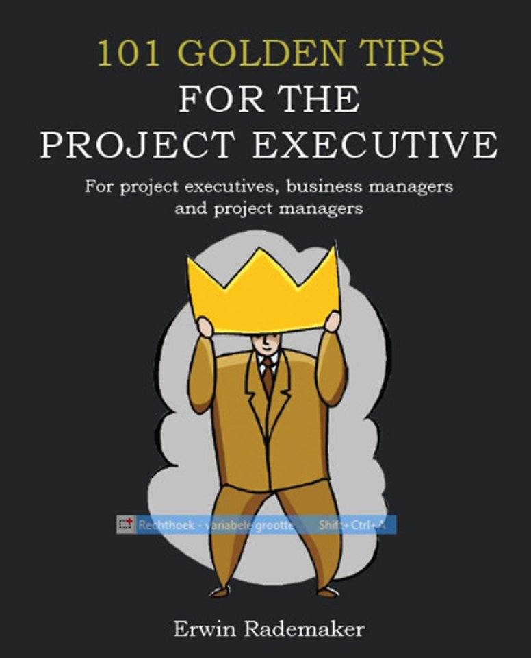 101 Golden Tips for the Project Executive 101 Golden Tips for the Project Executive