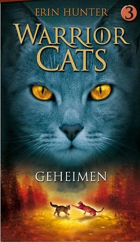 Geheimen