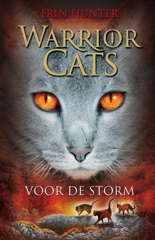 Voor de storm