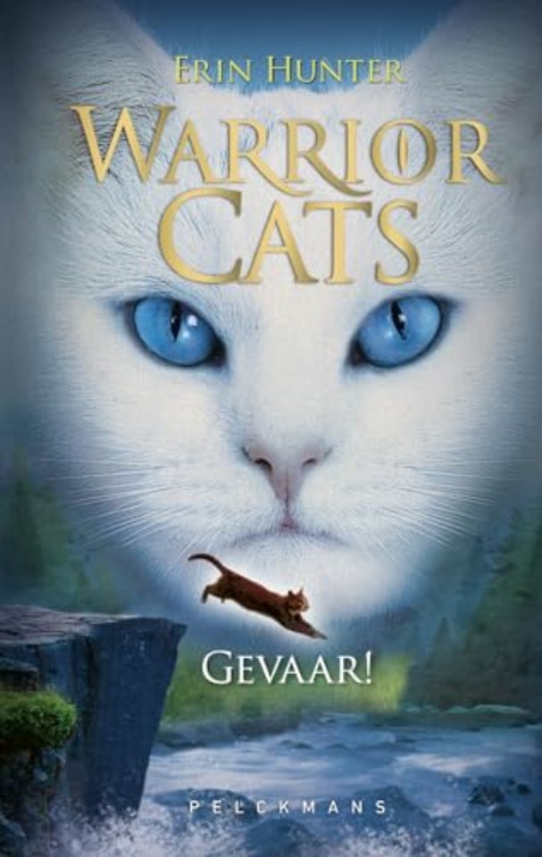 Gevaar